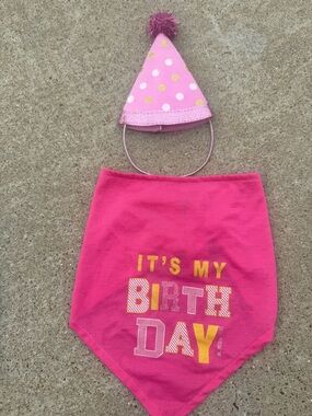 Top Paw It’s My Birthday Dog Bandana w/ Party Hat Pink Knit